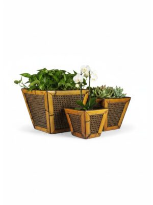 Elegant Antique Bamboo and Cane Planters (Set of 3)