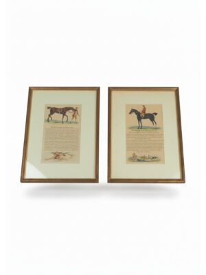 Antique Engravings The Sportsman's Pocket Companion James Roberts
