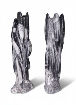 Pair of Hand-Carved Orthoceras Fossil Sculptures in Black Limestone, Morocco, Contemporary
