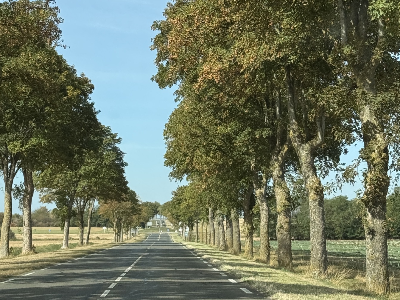 Shackleton Fox Road Trip Sourcing Around France and Belgium