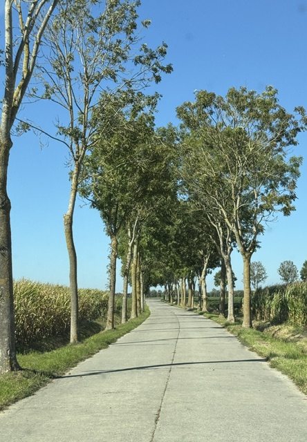 IMG 0772 1