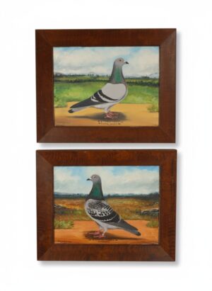 Pair of English Racing Pigeon Portraits by C. H. Wadsworth, 1911 – ‘Shamrock’ & ‘Rufford Beauty’