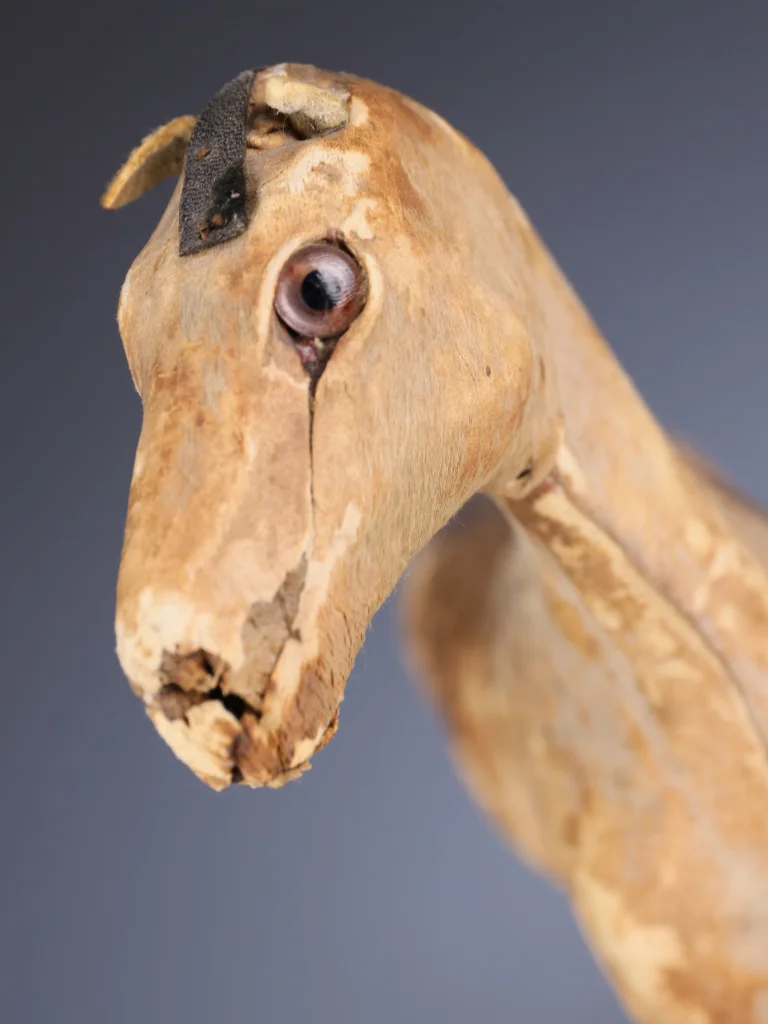 Antique Horse Covered in Genuine Horse Hide with Glass Eyes