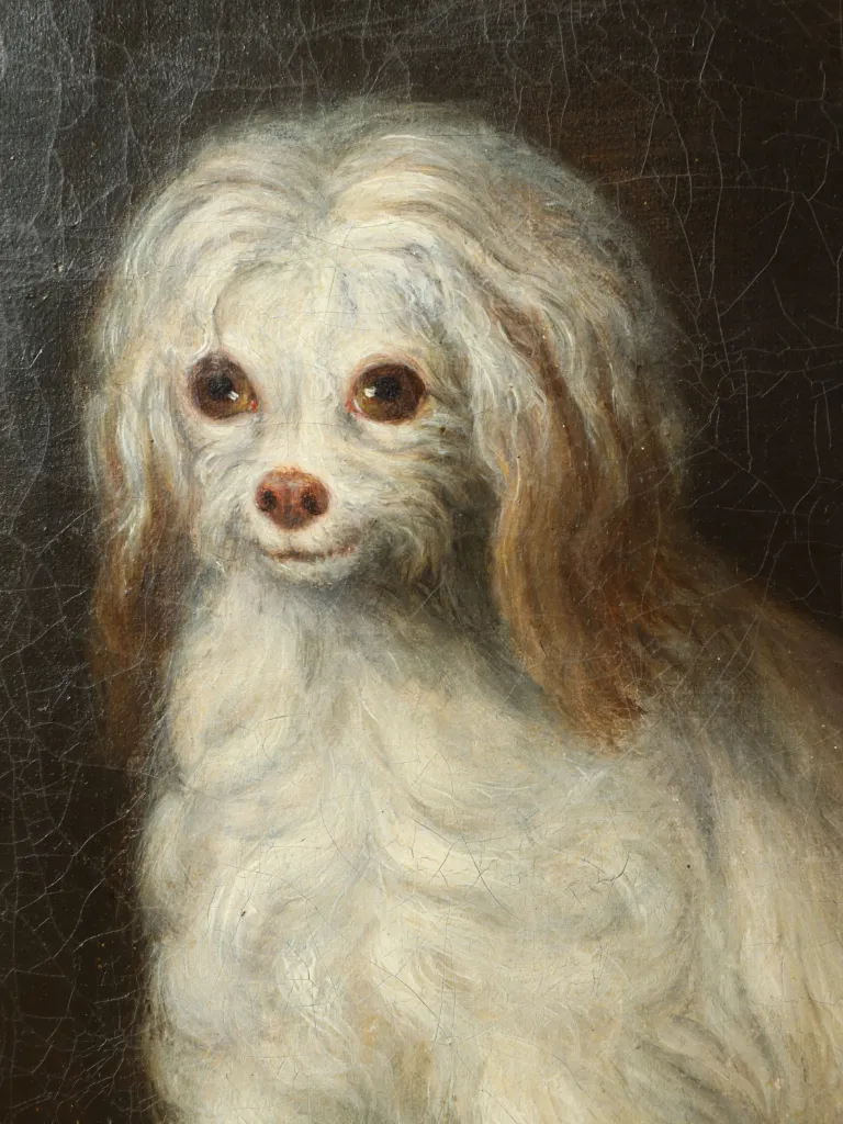 Fine 19th Century Portrait of a Small Companion Dog, Oil on Canvas